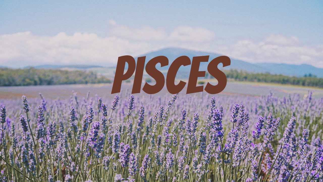 Zodiak Pisces Februari 2026