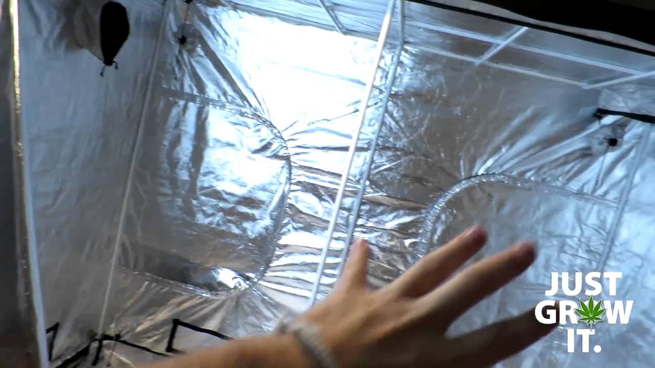 4x8 Grow Tent Unboxing, Setup and Review!
