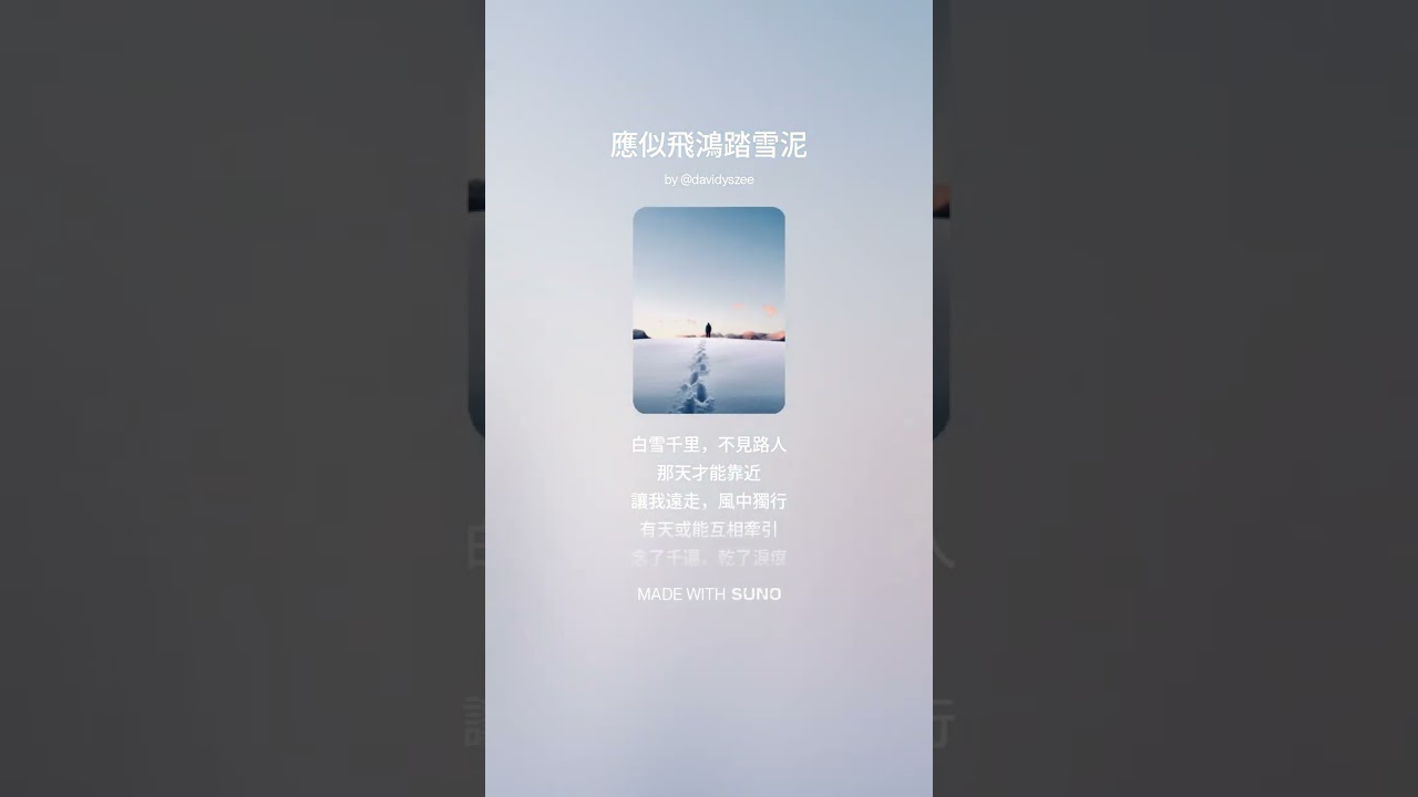 應似飛鴻踏雪泥