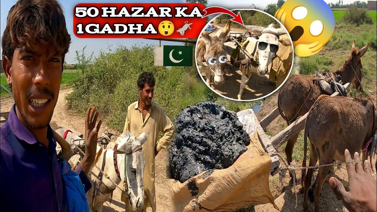 Pakistani🇵🇰 Hindu Daily Life In Pakistan || Kishore Bheel Vlog 