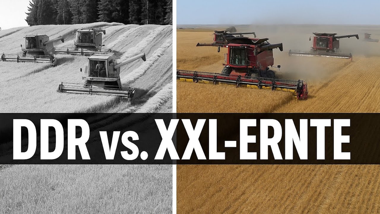 DDR-Ernteschlag vs. Moderne XXL-Ernte – Der klare Technikvergleich