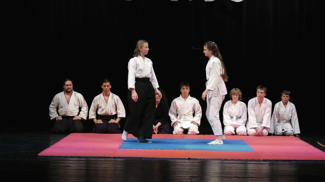 14 Aikido