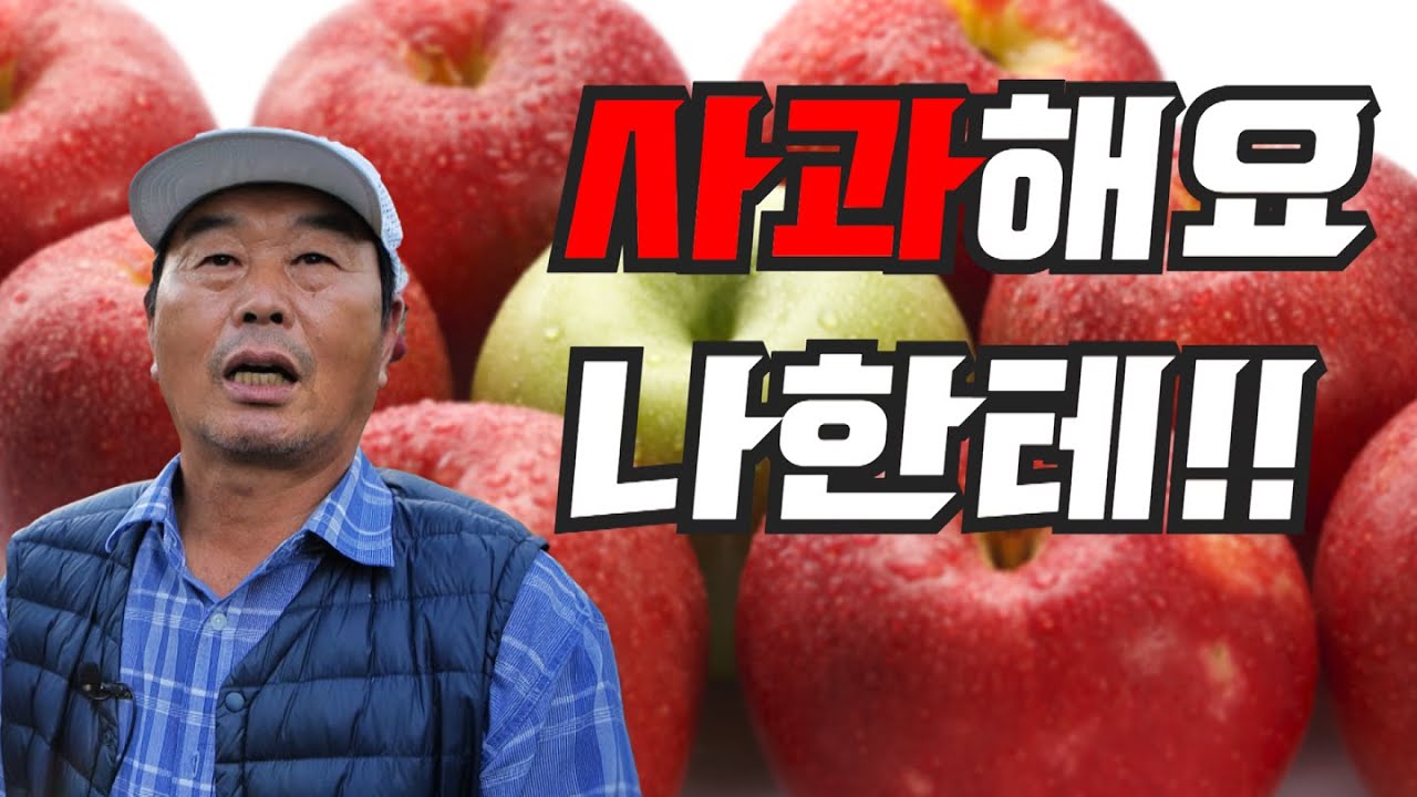 [역전의 부자농부 327회] 사과로 연 매출 4억 원! 경북 청송 박강열/박진혁 부자농부