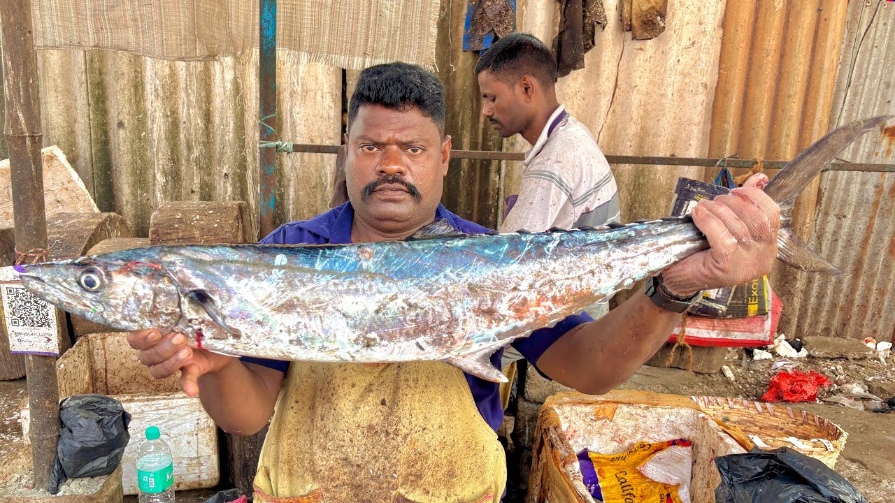 KASIMEDU SPEED SELVAM BIG SIZE KING FISH CUTTING VIDEO | KASIMEDU FISH CUTTING 