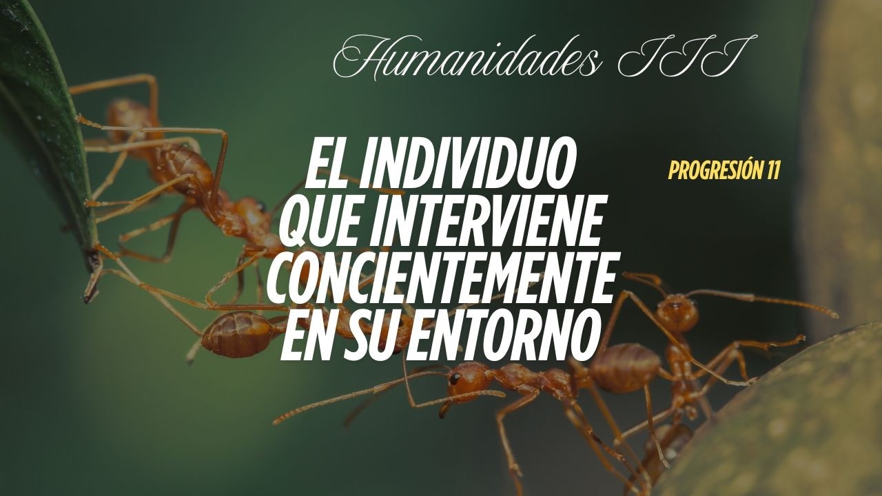 Última parte - Curso de apoyo a docentes de Humanidades III - Progresión 11/11