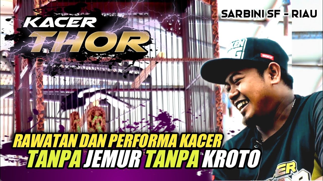 TANPA KROTO dan JEMUR, BEGINI RAWATAN DAN PERFORMA KACER THOR | SARBINI RIAU