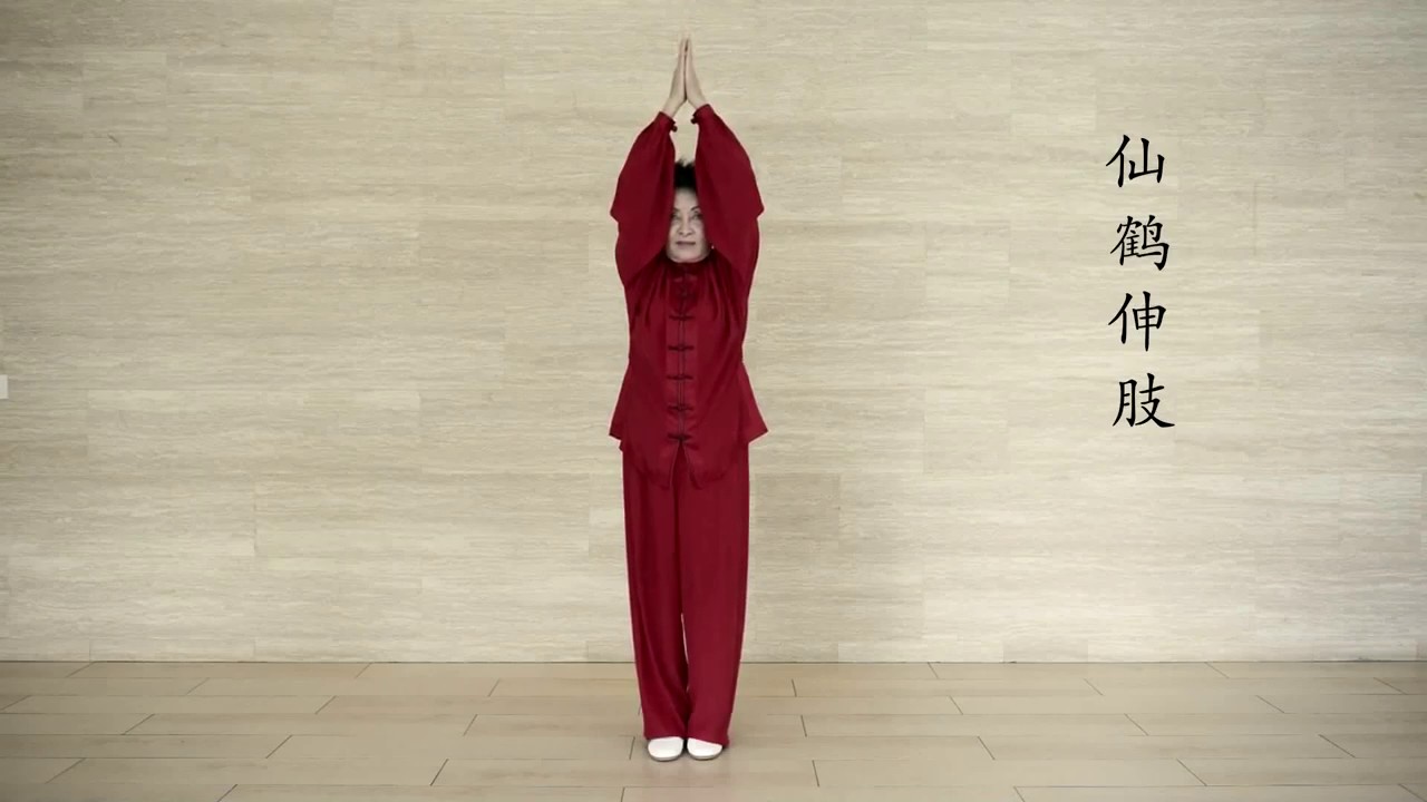 九禽文戲 Nine Animals Hui Chun Gong Madame Mok Chong Meng