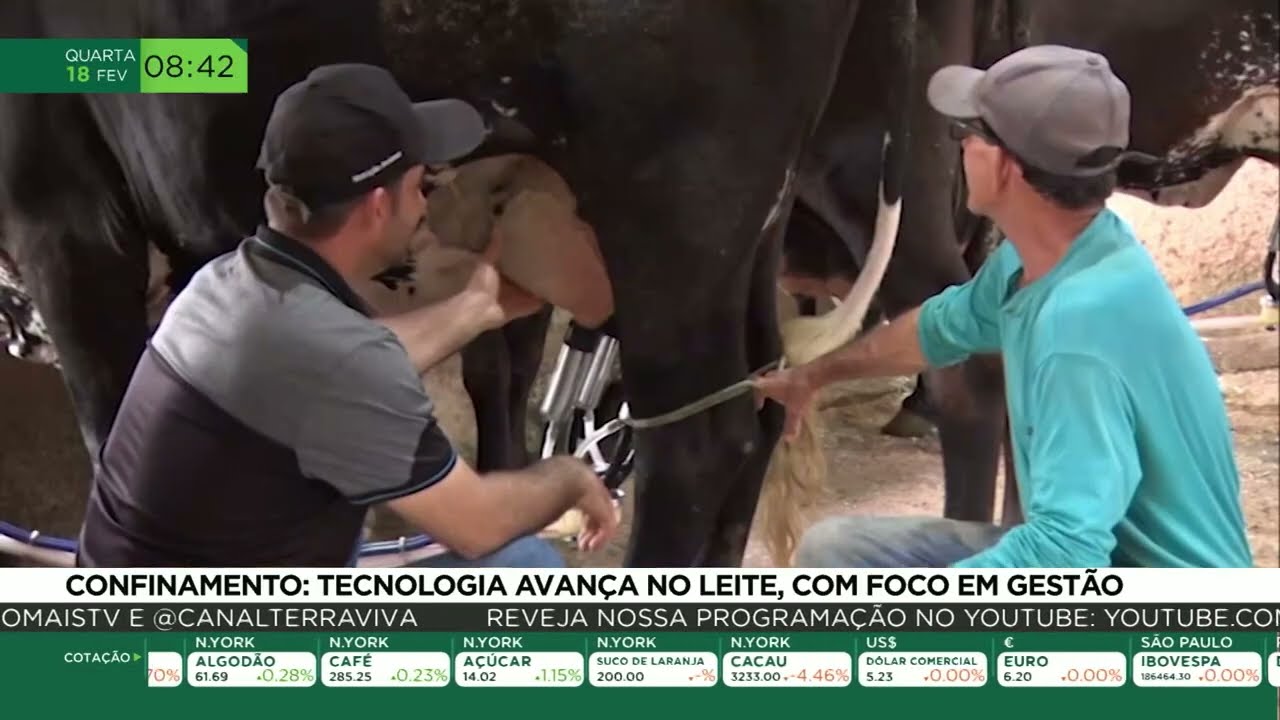 Confinamento: Tecnologia avança no leite, com foco em gestão