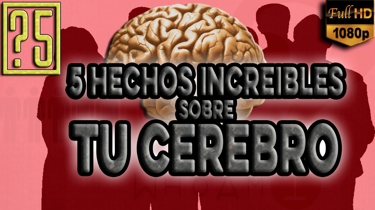&iquest;Crees que te conoces? 5 Hechos Incre&iacute;bles acerca de tu Cerebro que te dejar&aacute;n con la boca abierta