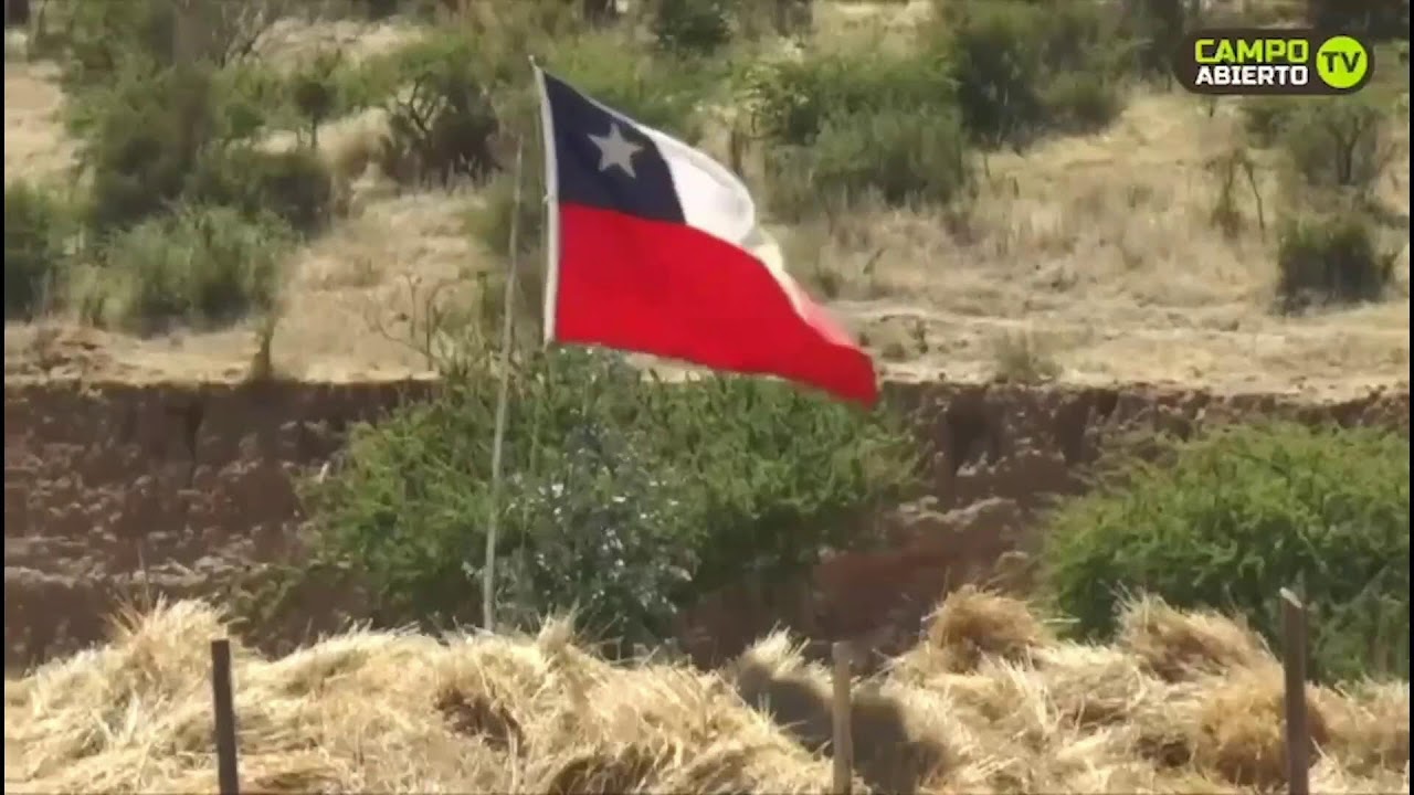Serie Yeguas / 75º Campeonato Nacional de Rodeo 2024