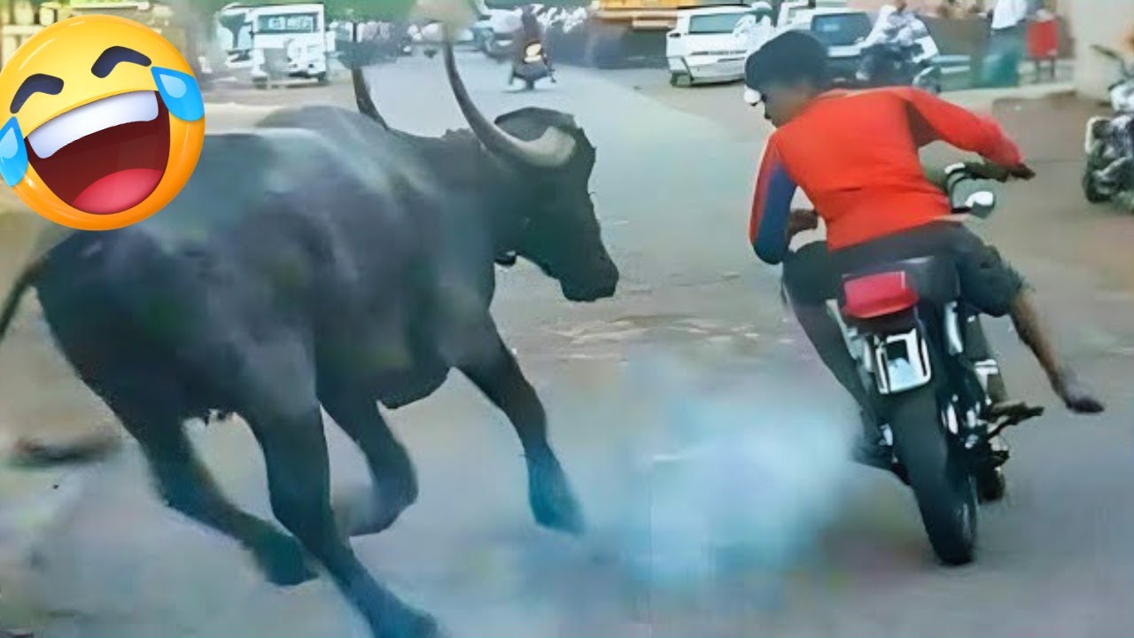 VÍDEO ENGRRAÇADOS 2025 😂 Ria Até Chorar com Momentos Tolos e Engraçados | Parte 4