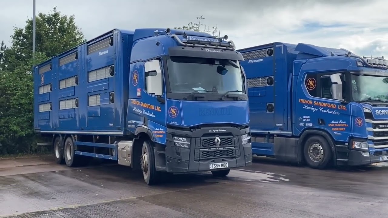 LIVESTOCK TRUCKS AT SEDGMOOR LIVESTOCK MARKET  OCTOBER 2023