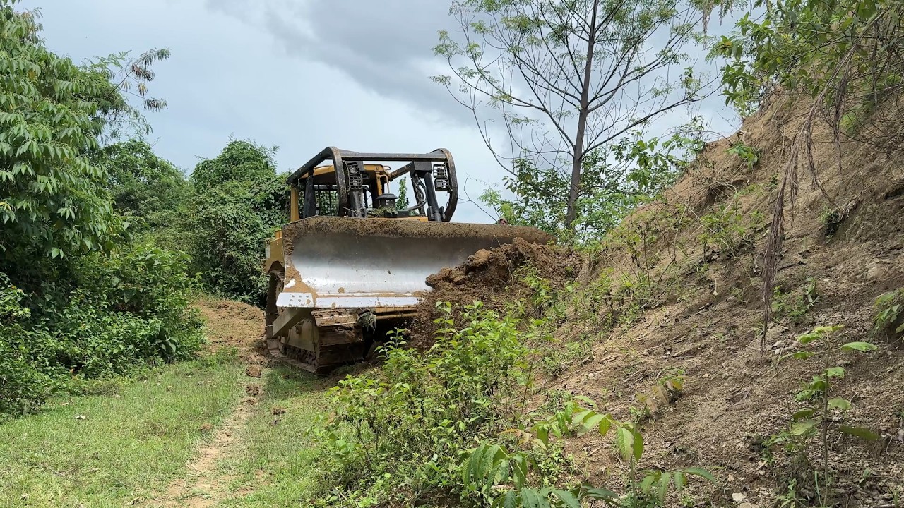 D6R XL Bulldozer Working to Widen the Road Body in the Mountain Plantation