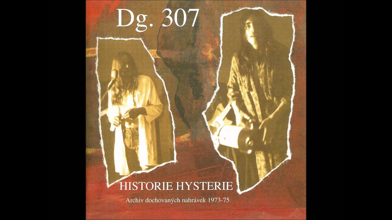 DG 307 - Hudebn&iacute;ci z konzervy