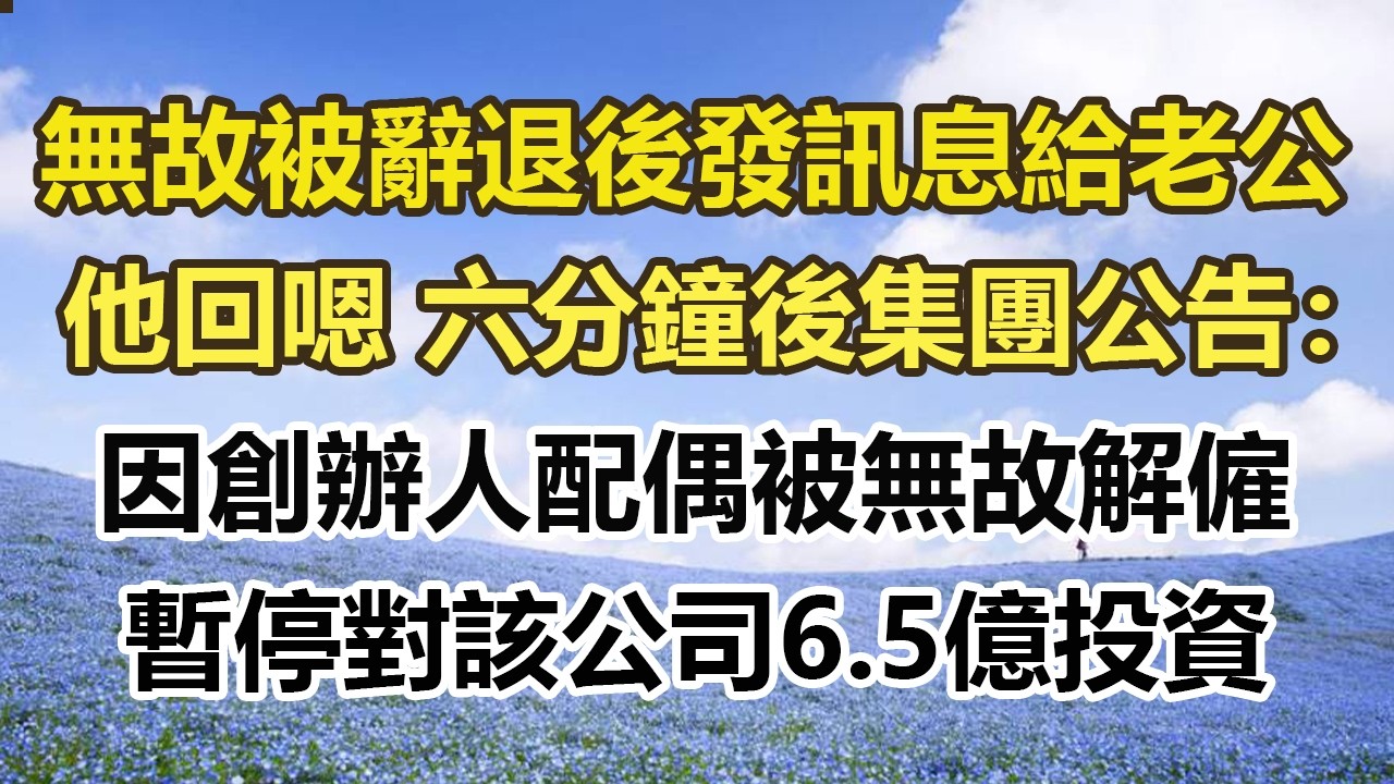 無故被辭退後發訊息給老公，他回嗯 六分鐘後集團公告：，因創辦人配偶被無故解僱，暫停對該公司6.5億投資#幸福敲門 #為人處世 #生活經驗 #情感故事