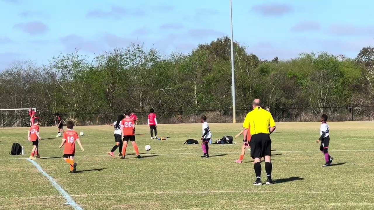 Clip10/14 GM1 Soccer NextGen FC (U10 LOVE) vs  PORT ORANGE 03/01/26 9a HOME 2-2