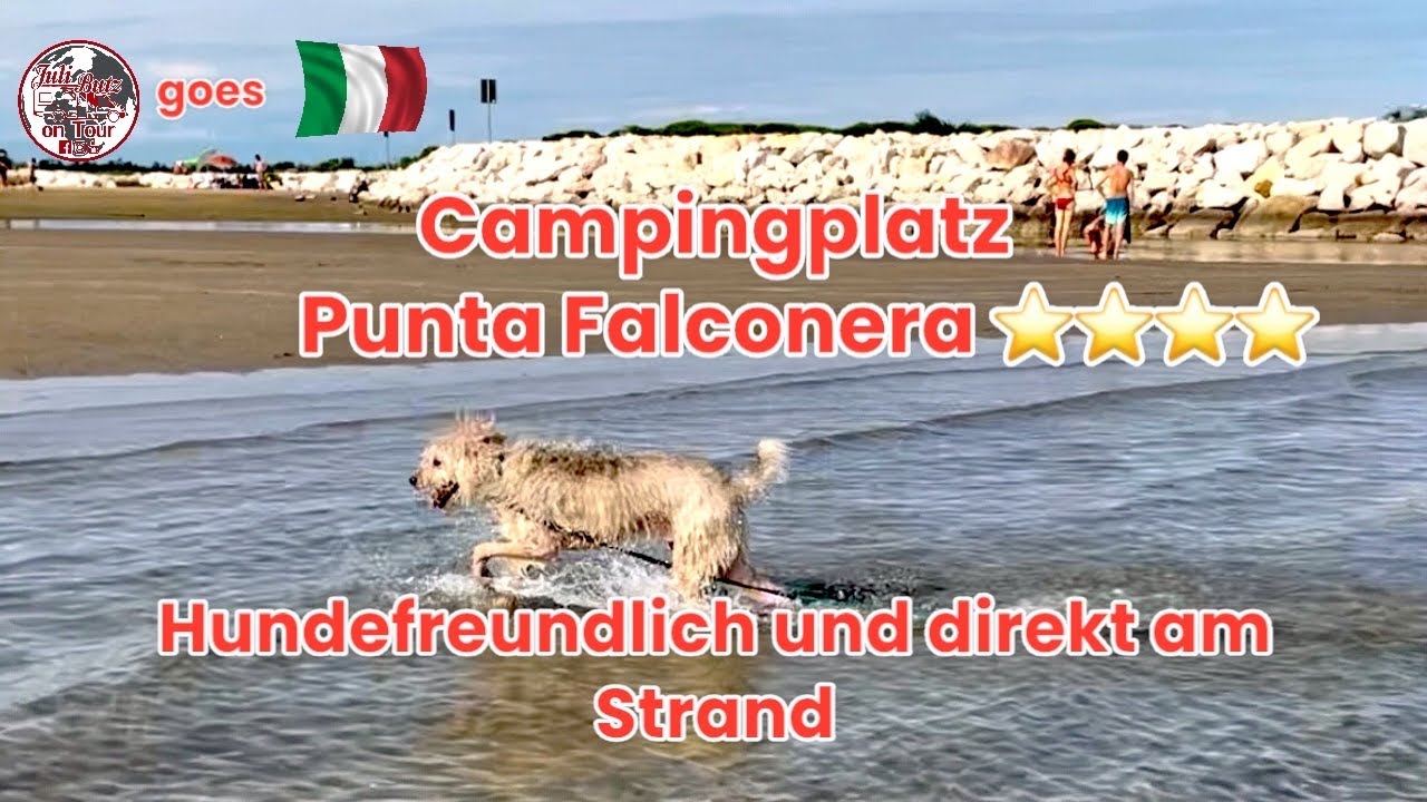 Camping am Meer/Italien, Punta Falconera,Hundefreundlich 4⭐️,nahe Caorle #camping #italien #urlaub 