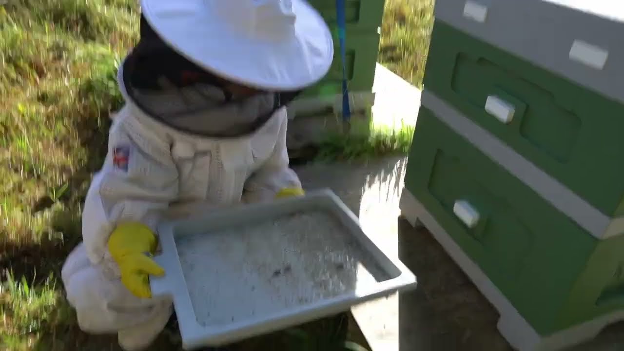 Checking for Varroa | Becoming a Beekeeper | Episode 15