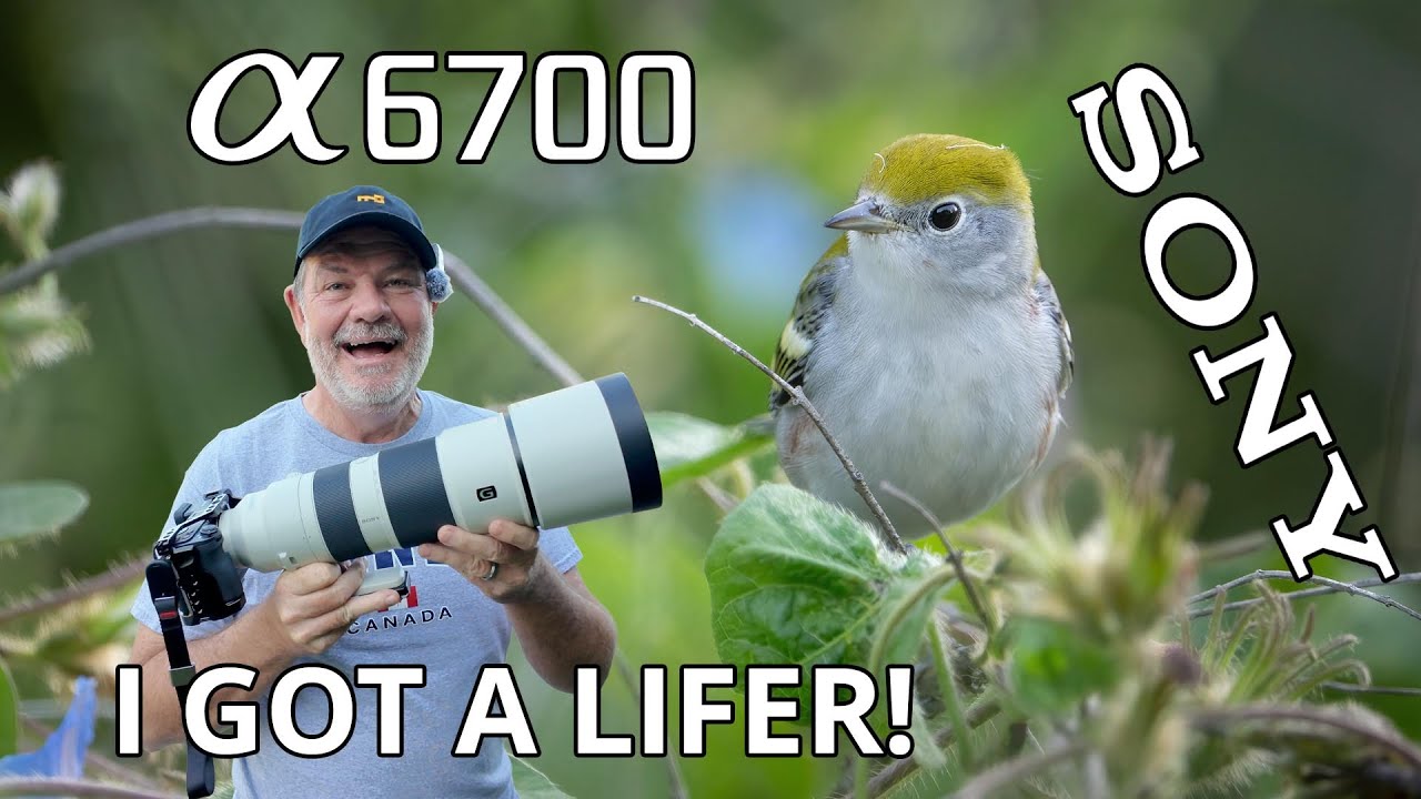 Sony a6700 Bird Photography with 200-600 Lens!