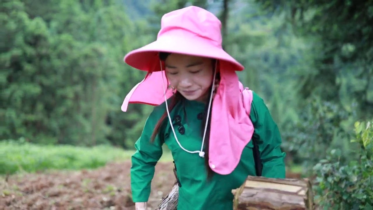 荒废几年的田地，阿香和妈妈再次开垦，已长满树根，庄家还能好吗