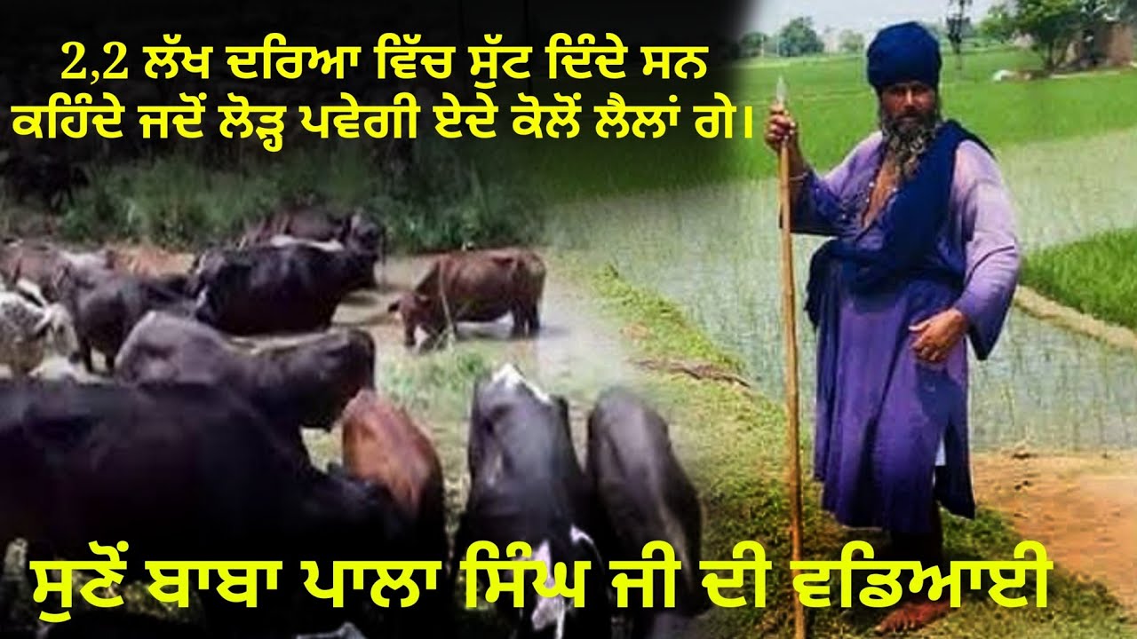 Baba Pala Singh Ji. ਬਾਬਾ ਪਾਲਾ ਸਿੰਘ ਜੀ ਦੀ ਵਡਿਆਈ ਸੁਣੋਂ ਨਿਹੰਗ ਸਿੰਘ ਤੋਂ।