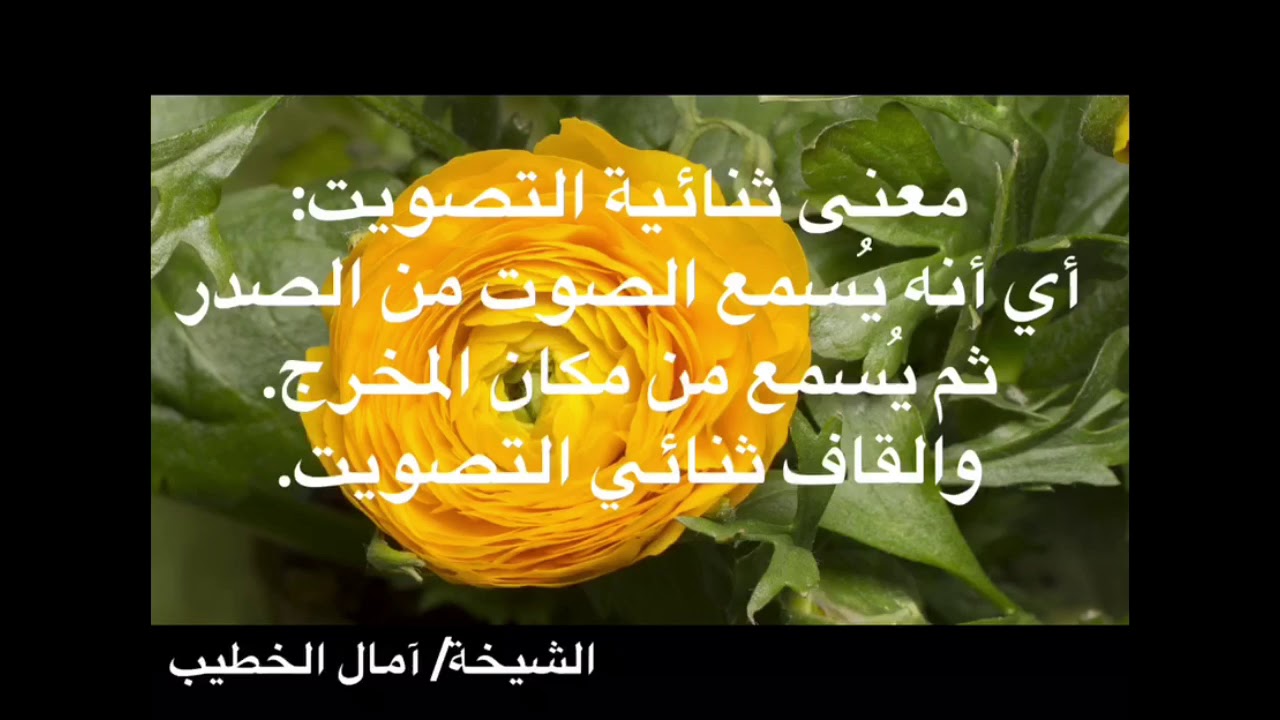 مخرج القاف ونطقه الصحيح