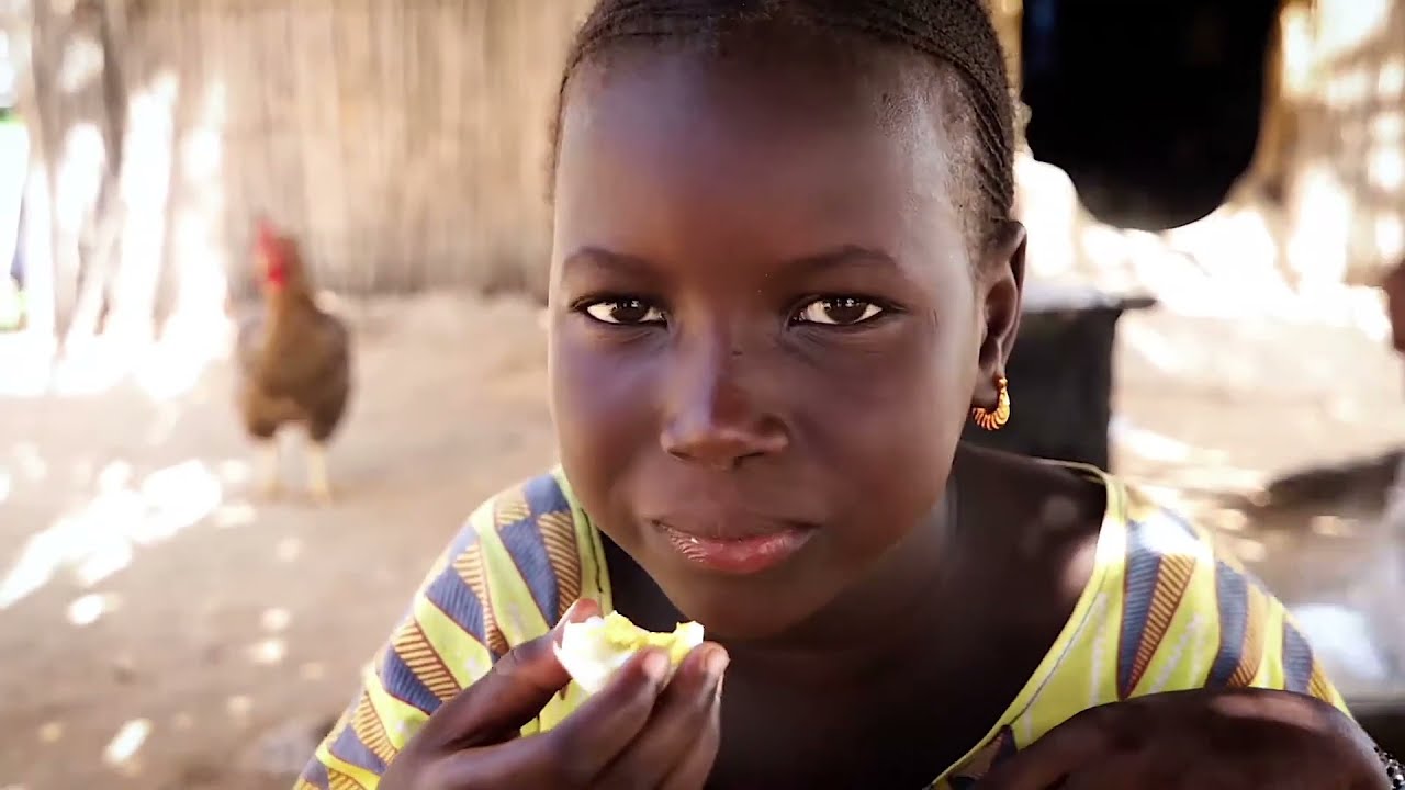 Future of Africa's Agriculture