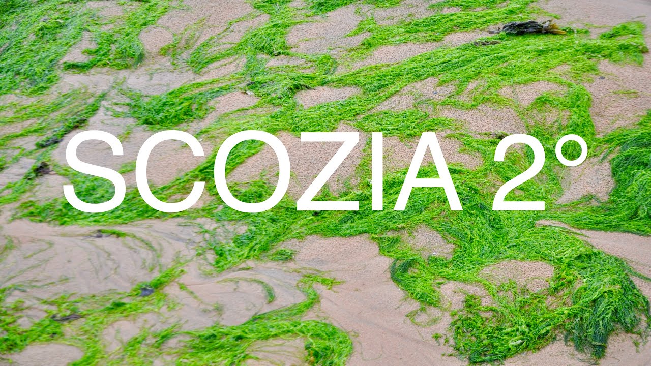 Scozia in camper  2° parte, St Andrews, Glamis, Dunnottar, Fowlsheugh, Newburgh,   4K