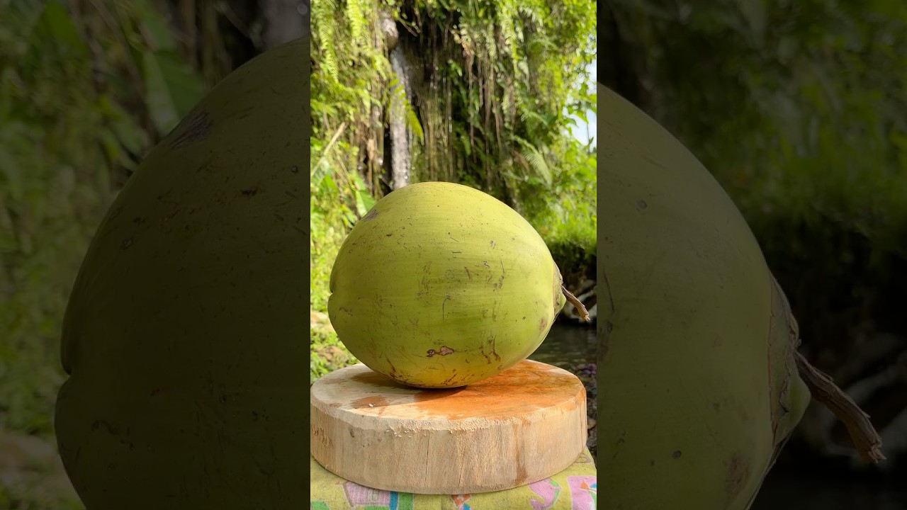 Crack It Like a Pro! Stay Cool #coconutcutting #fruit #asmr #shorts