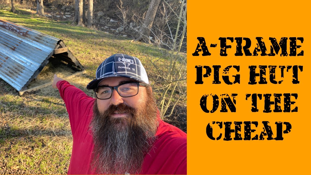 Pallet A Frame Pig Shelter | Central Texas Homestead