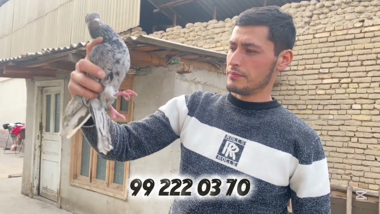 15 февраля 2026 г.