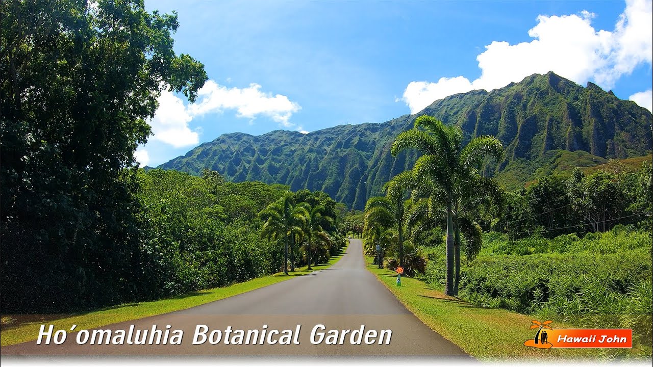 Hawaii Botanical Garden 🌈 Hawaii Relaxing Walking Tour 🌴 Hoomaluhia Botanical Garden 🌺 Hawaii 4K