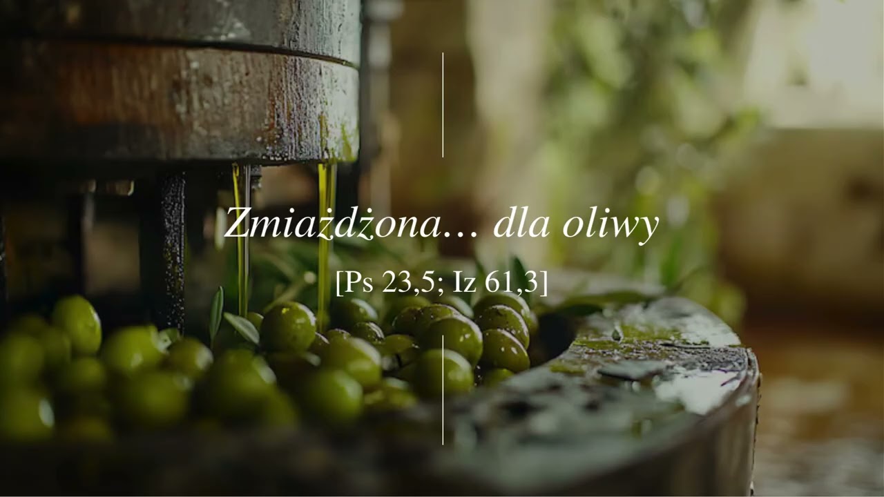 Zmiażdżona… dla oliwy [Ps 23,5; Iz 61,3] #BS 079