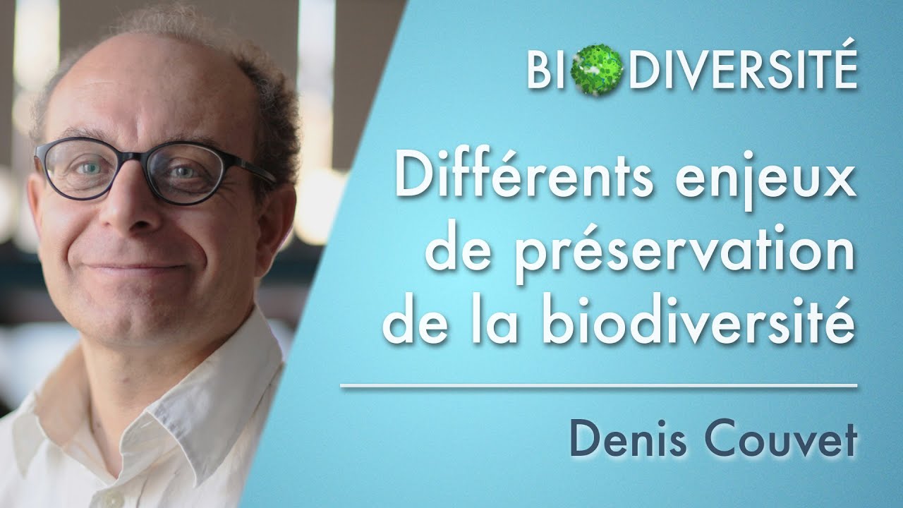 Différents enjeux de préservation de la biodiversité