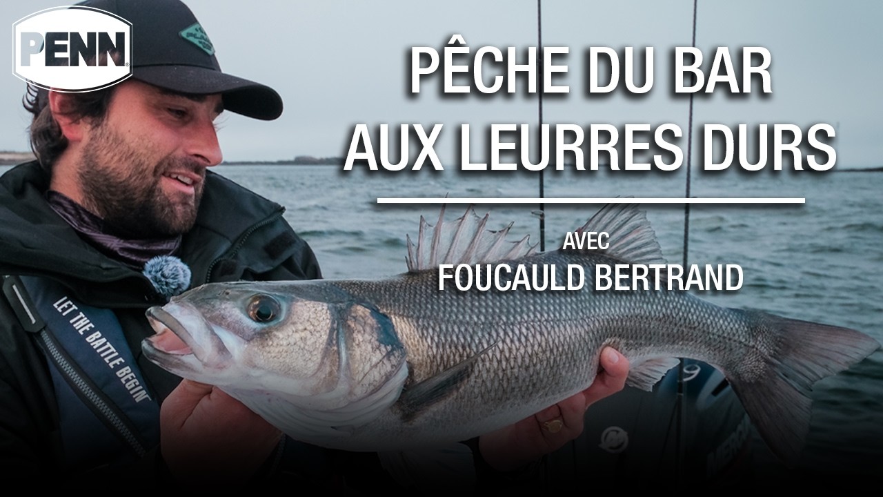 Pêcher le BAR aux LEURRES DURS en BRETAGNE avec Foucauld Bertrand