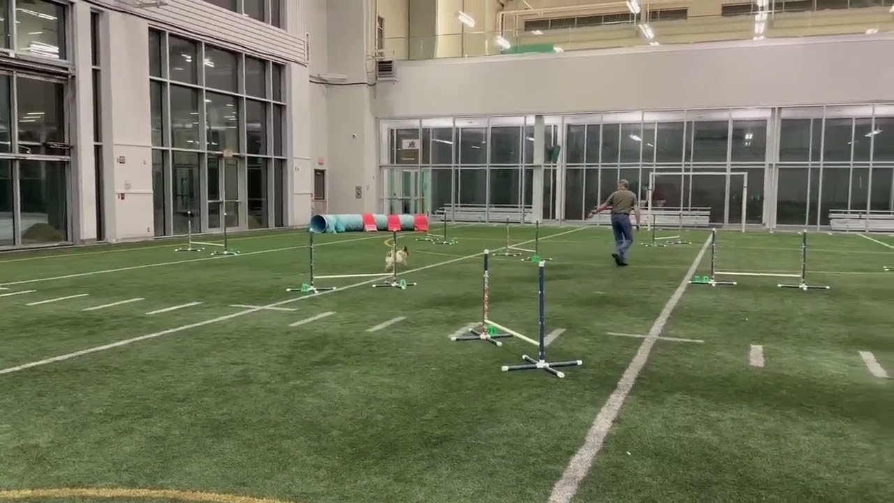 Leo Fallout Elite Jumpers - Rd 2