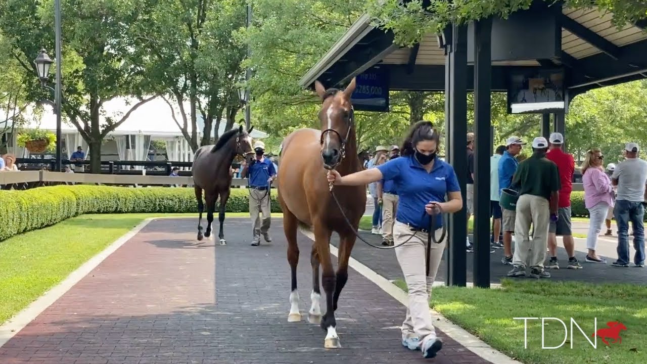 Fasig Yearling Sale: It's a Wrap