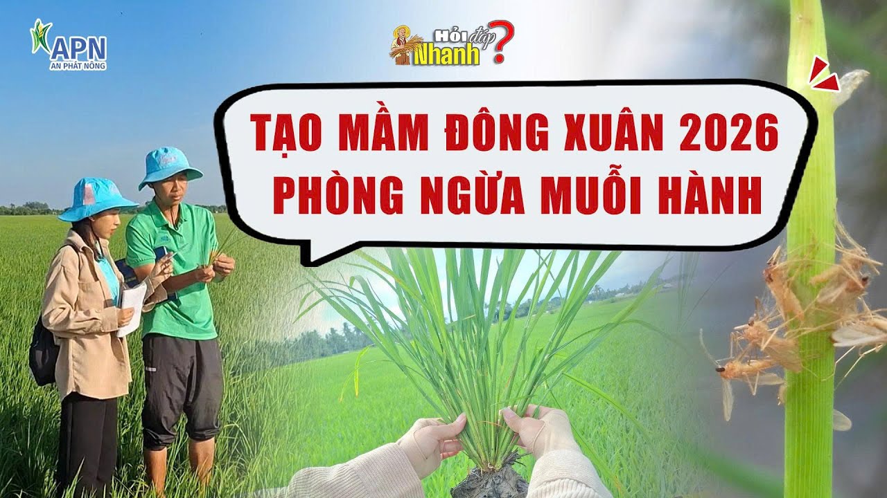 APN - TẠO MẦM ĐÔNG XUÂN 2026 | NGỪA MUỖI HÀNH