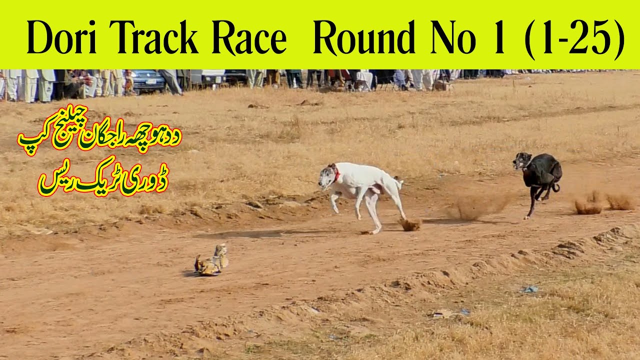Dori Track Race Dadhocha islamabad | Round No 1 (1-25) | Greyhound Race #dog #greyhound