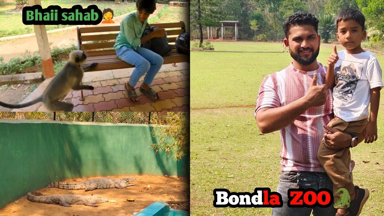 Bondla Wildlife🐅 Sanctuary Tour | Wildlife Adventure | Nature Escape 🎋