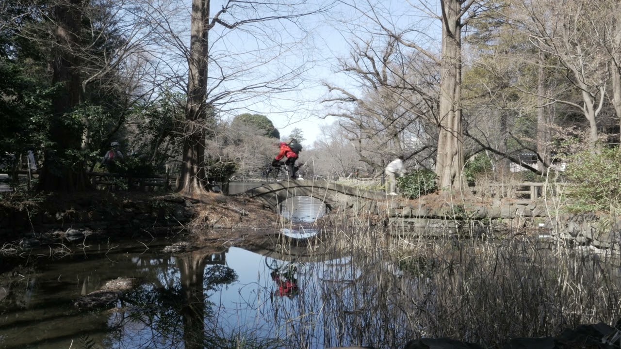 2026年02月21日10時13分