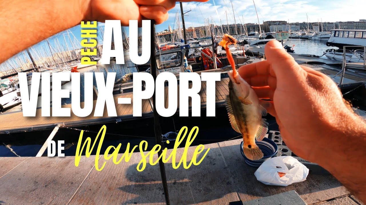 P&ecirc;che au Vieux-Port de Marseille #p&ecirc;che #fishing #surfcasting