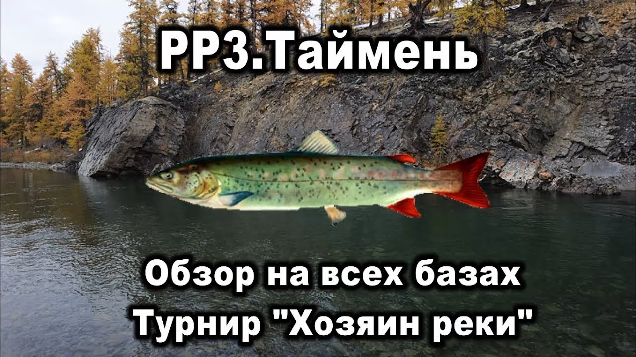 РР3. Таймень. Обзор на всех базах. Турнир 