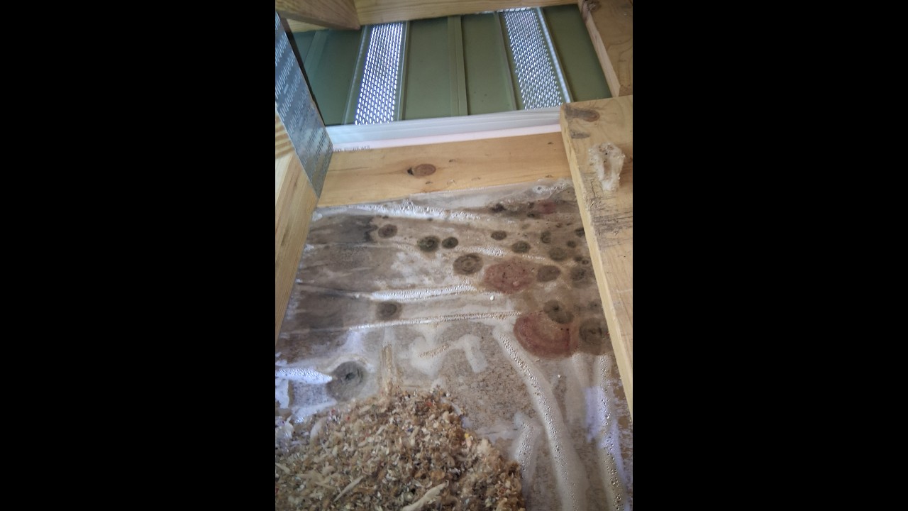 Mold in our new home