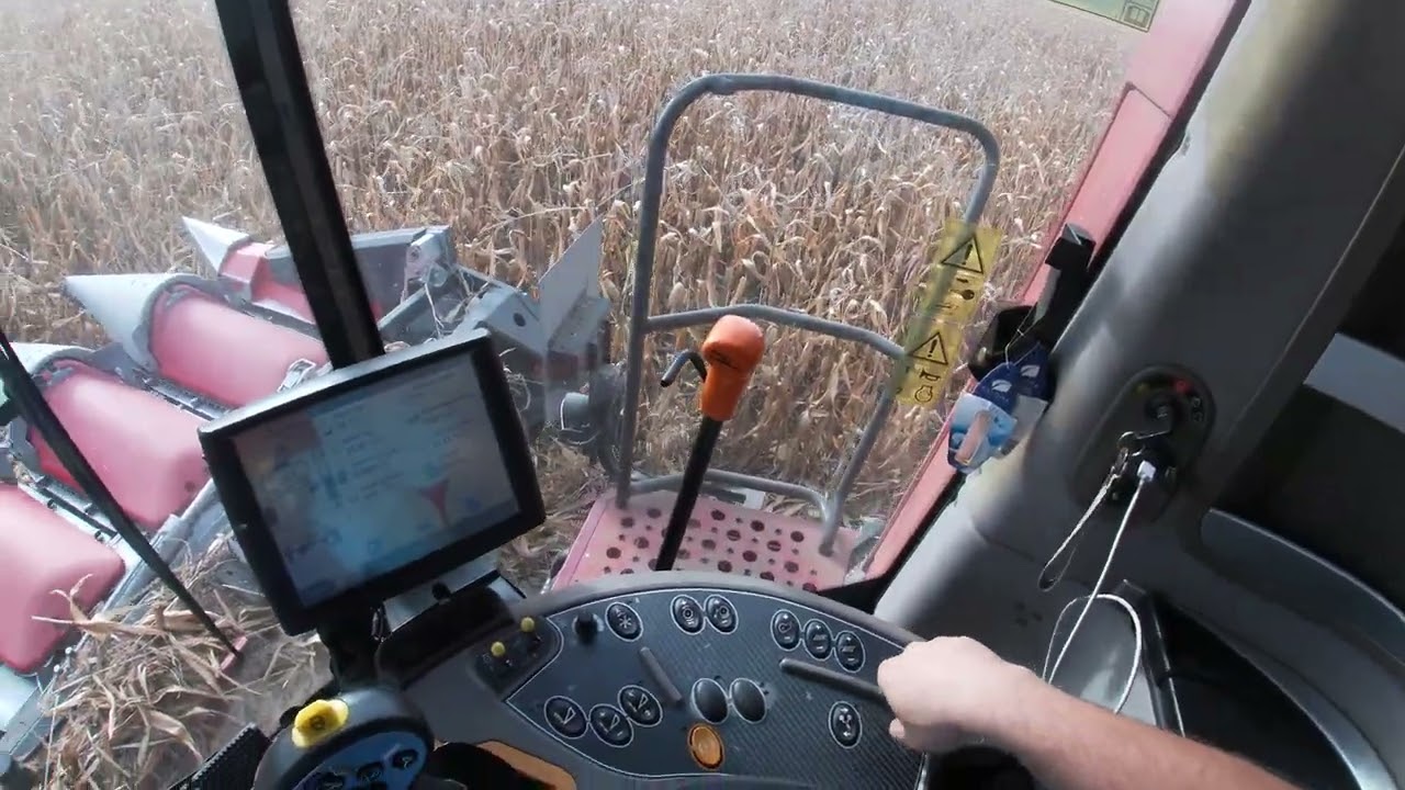 [GoPro] Case IH Axial Flow 6140 Dominoni Kaiman 4K 2025 Kukorica aratás #agriculture #cornharvesting