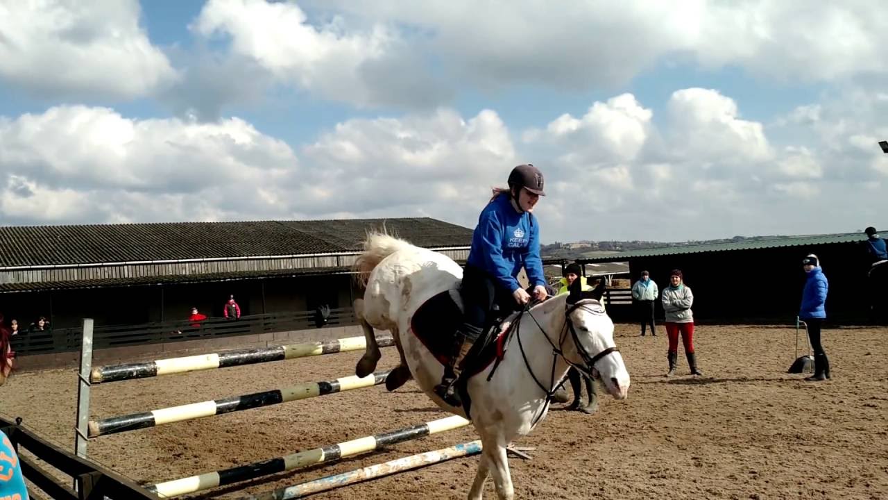 Chase me Charlie • Easter show♡Up to 1.40m!