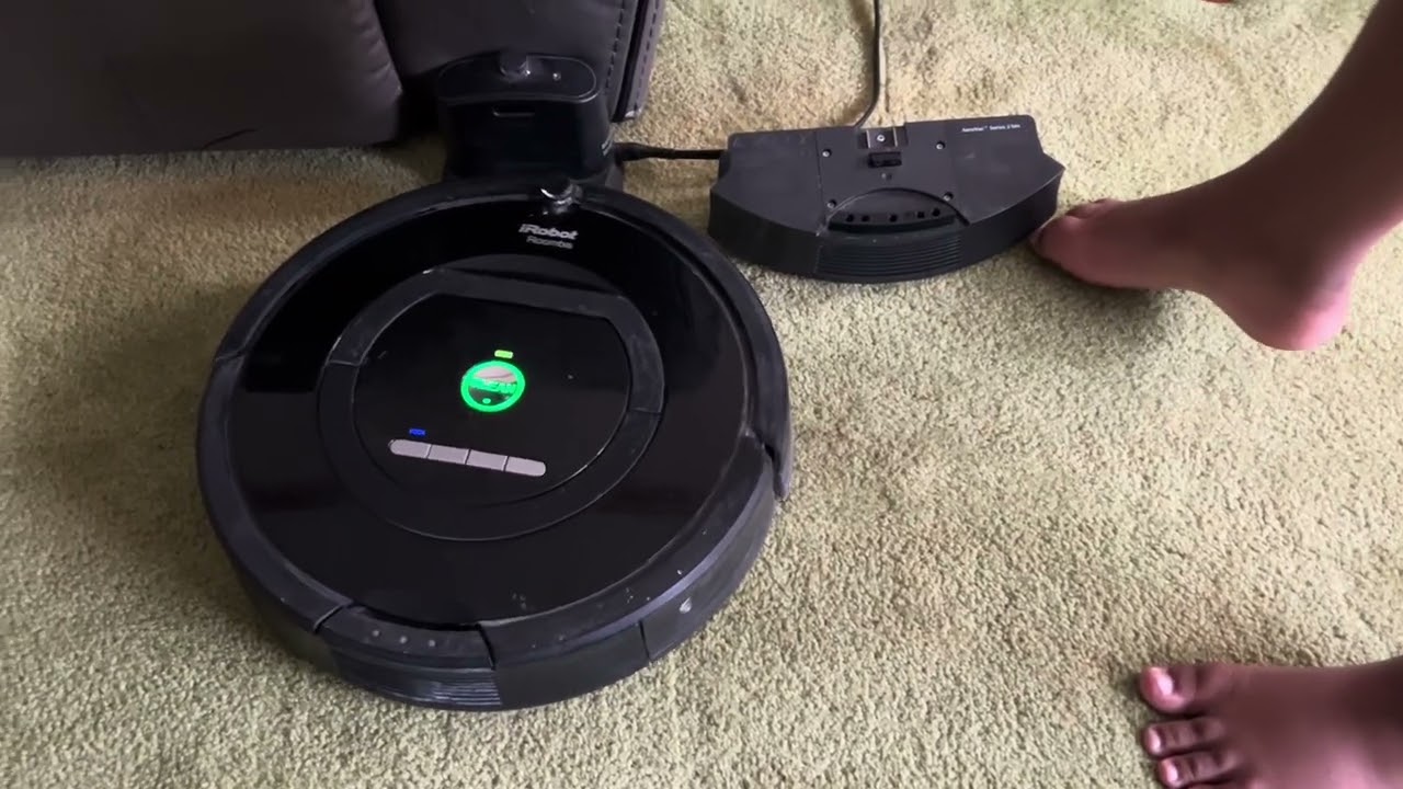 my roombas clean my palor