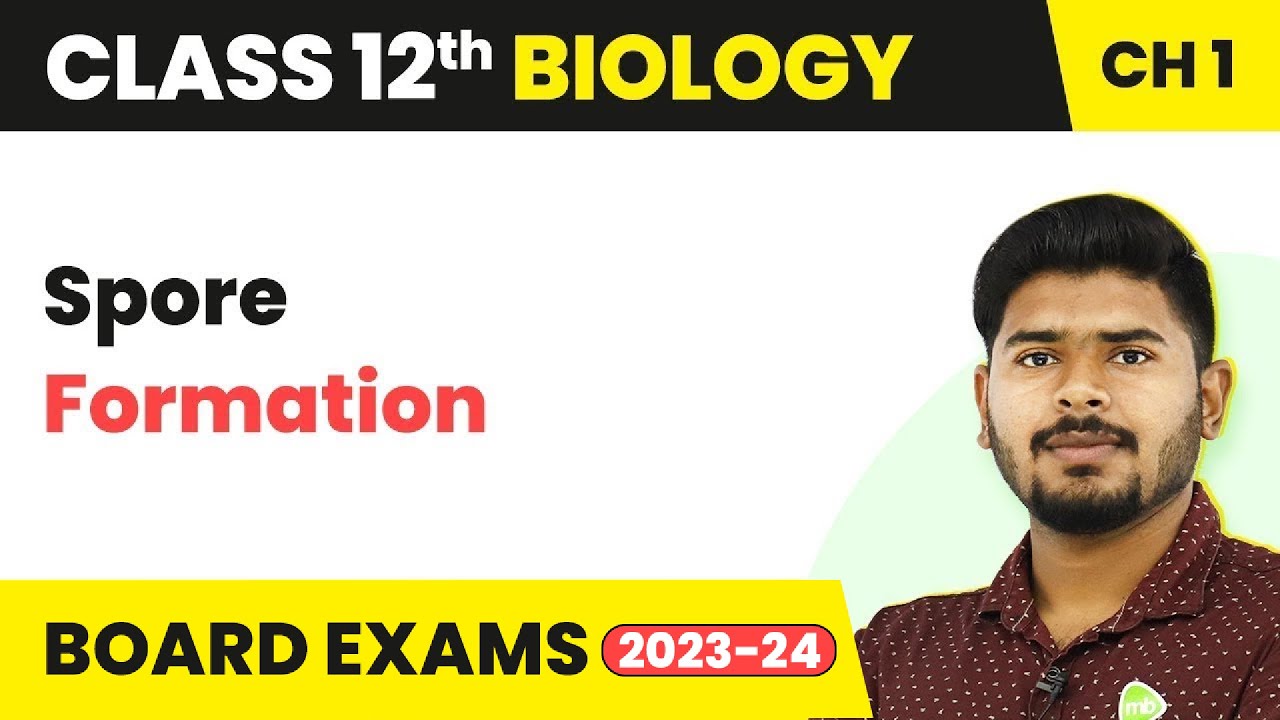 Spore Formation - Reproduction in Organisms | Class 12 Biology (2022-23)