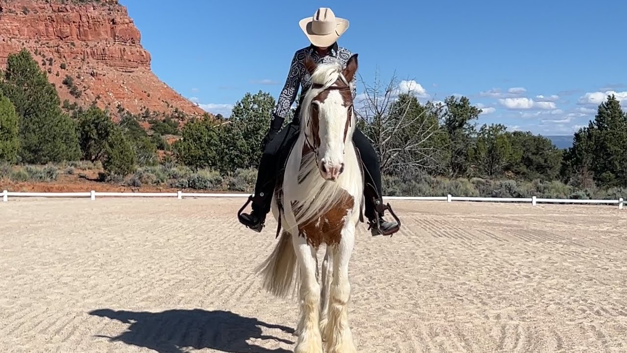 Western Dressage Intro Test 1.  Shellie Cluett and Sebastian 4-28-24