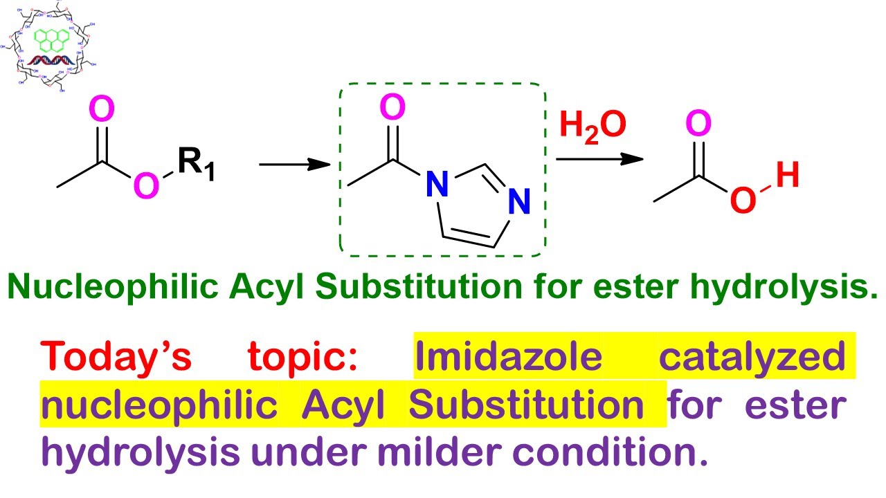 Nucleophilic catalysis for ester hydrolysis: Imidazole as catalyst: complete mechanistic description